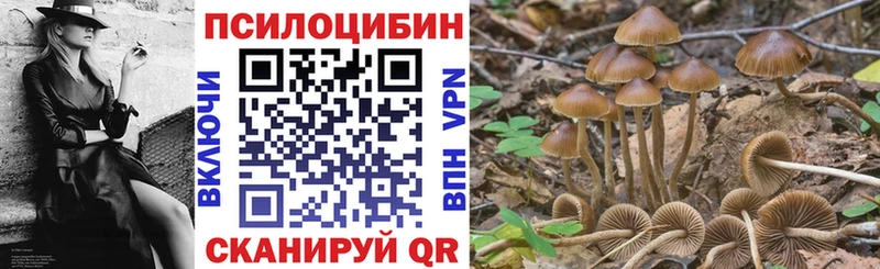Галлюциногенные грибы Magic Shrooms Орехово-Зуево